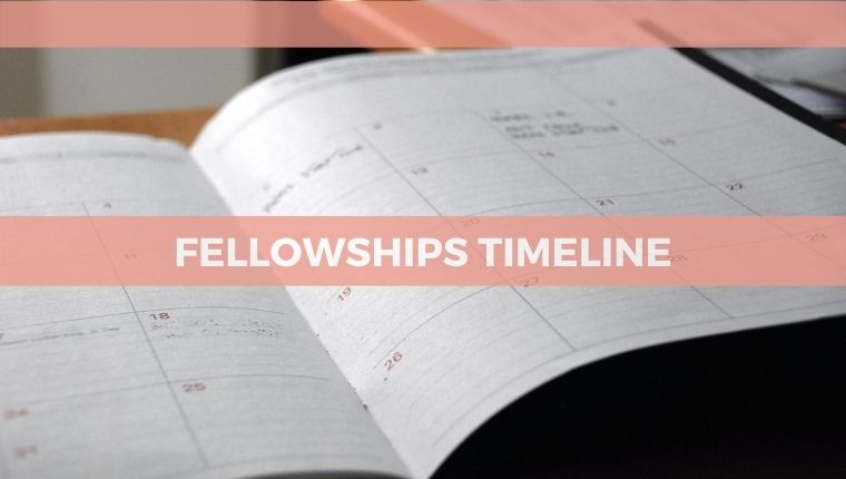 Fellowship Timelines | Chevening